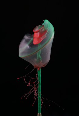 bir damla su (renkli)