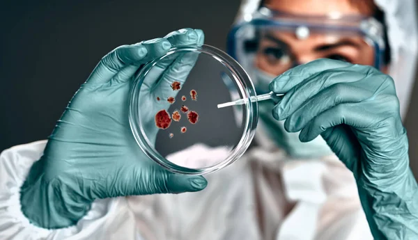 Selektivt Fokus Biokemist Hazmat Kostym Innehav Petriskål Med Biomaterial — Stockfoto