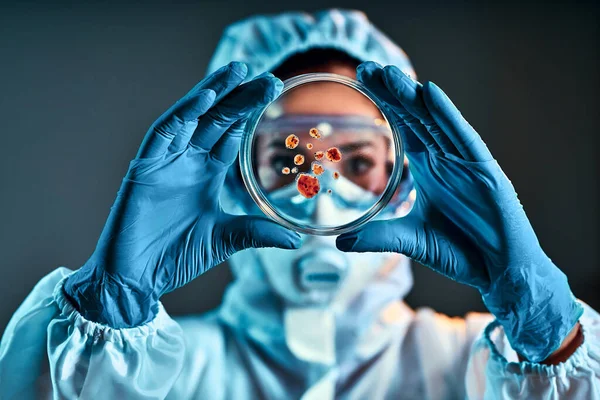 Forskare Labbrock Skyddsglasögon Och Gummihandskar Testar Prov Petriskål Laboratorium Selektivt — Stockfoto