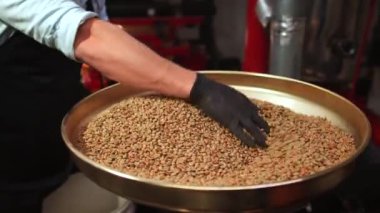 İnsan elinin kavrulmamış kahve çekirdeklerini kızartılması için makineye karıştırdığı yakın çekim görüntüsü. 4k