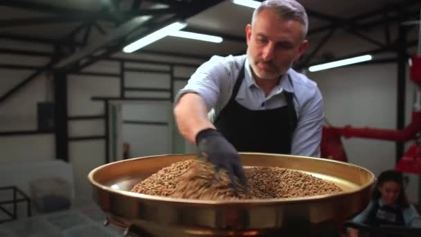 Man Mixes Green Coffee Beans Roaster Coffee Beans Sent Roasting — Stock Video