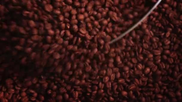 Kaffebrödrost Kaffebönor Rostning Rostermaskin Kaffeindustrin Närbild — Stockvideo