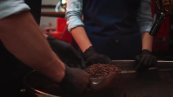 Pareja Baristas Uniforme Comprobando Calidad Los Granos Café Tostados Pie — Vídeo de stock