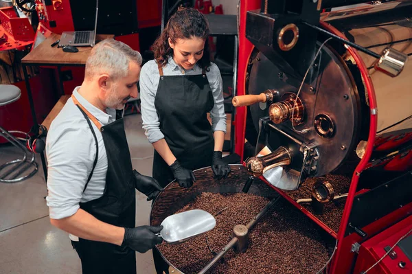 Couple Two Baristas Checking Quality Coffee Beans Standing Scoop Roaster — Stock Photo, Image