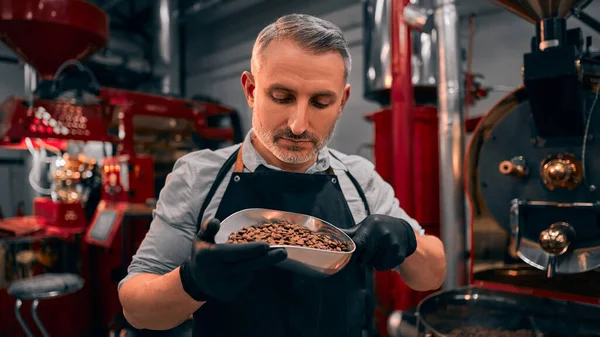 Master Coffee Roasting Make Good Coffee Modern Machine Roasting Coffee — Stock Photo, Image