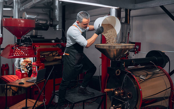 Man strewing green grains from a bucket in special container. Industry concept.