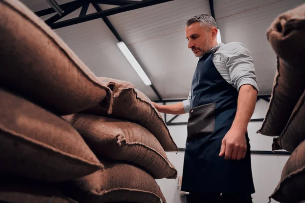 Roastery Munkavállaló Áll Halom Zsák Kávébab Ellenőrzi Csomagolás Minőségét — Stock Fotó