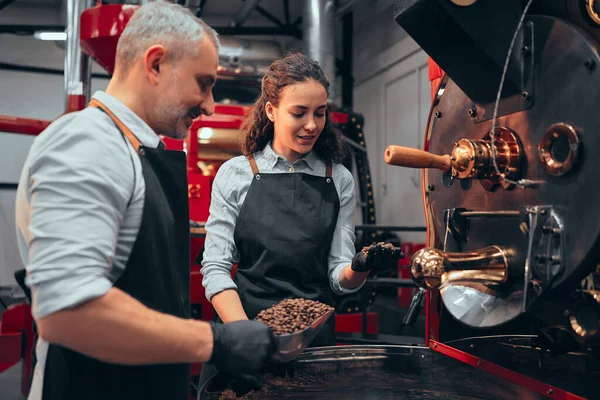 Barista Kávébab Minőségét Ellenőrzi Menedzser Pörkölt Kávébab Osztályozása — Stock Fotó