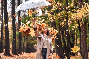 Sonbahar konsepti. Sonbahar havası ve ilham. Genç ve güzel bir kadın elinde şeffaf bir şemsiye tutuyor ve sonbahar yaprakları dökülüyor. Kasım ve eğlenceli duygular.