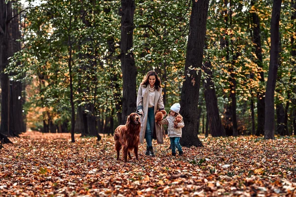 Autumn walk in the park. Beautiful adult woman with a little girl walking with a pet. Mom and daughter on a walk with a dog.