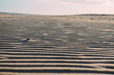 Portekiz'de kum plaj