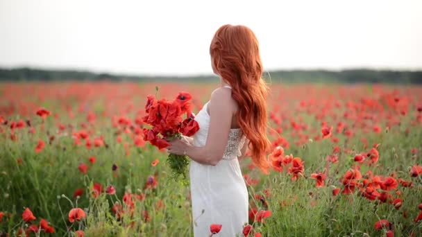 Jonge mooie roodharige vrouw in een veld met papavers. Slow motion. — Stockvideo