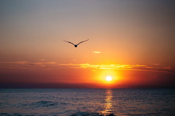 Рассвет на побережье Черного моря, волны — стоковое фото