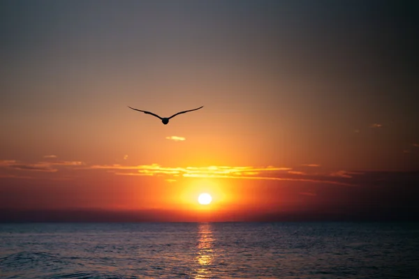 Şafak Karadeniz kıyısında, dalgalar