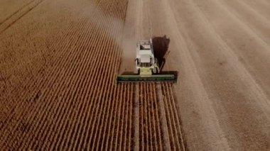 Bir hasat tarlada mahsulü birleştirir.