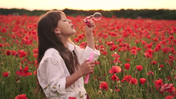 Klein meisje blazen zeepbellen in bloeiende veld van rode klaprozen bij zonsondergang, slow motion — Stockvideo