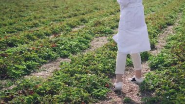 Kadın tarımcı iş başında.