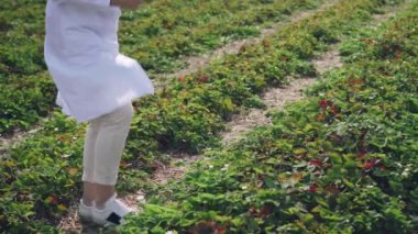 Kadın tarımcı iş başında.