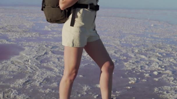 Woman tourist in nature. — Stock Video