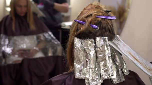 Haarkleuring in de salon. — Stockvideo