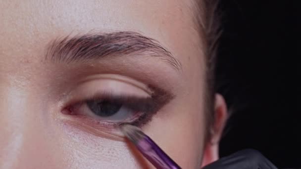 Le maquillage professionnel. — Video