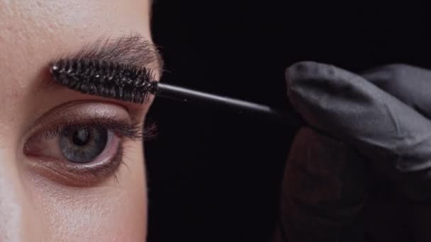 Professional eyebrow makeup. — Stock Video