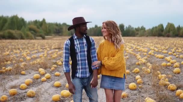 Pareja caminando en el campo de calabaza tomados de la mano — Vídeo de stock