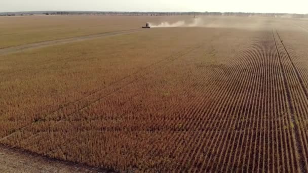 들에서의 복합적 인 수확물. — 비디오