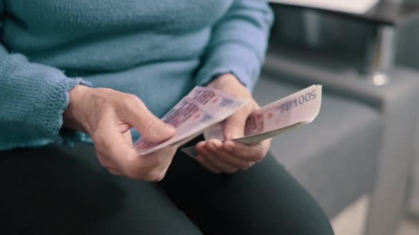 Idős nő számolja a pénzt.. — Stock videók
