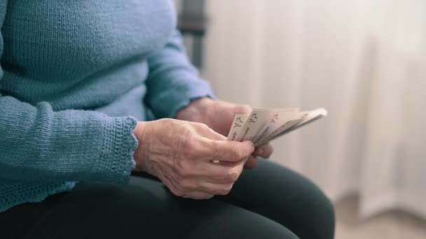 Idős nő számolja a pénzt.. — Stock videók