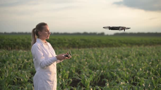 Női agronómus vezérli drón. — Stock videók