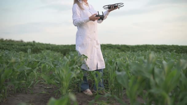 Vrouw agronomist past drone. — Stockvideo