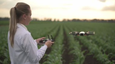 Kadın tarım uzmanı dronu kontrol ediyor.