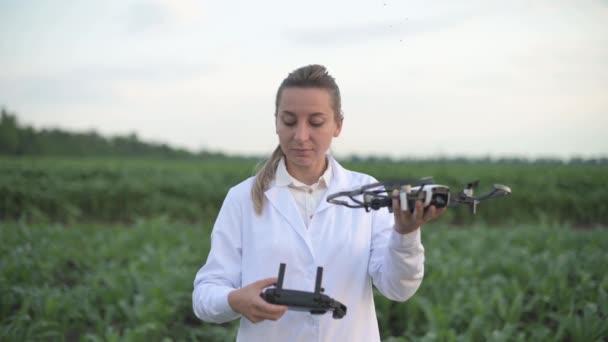 Žena agronomka upravuje dron. — Stock video