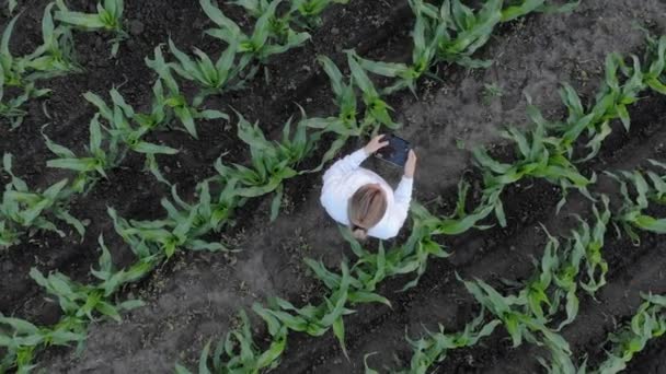 Mulher agricultor usa drone. — Vídeo de Stock