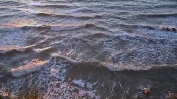 Les vagues de la mer dans les rayons du coucher du soleil. — Video