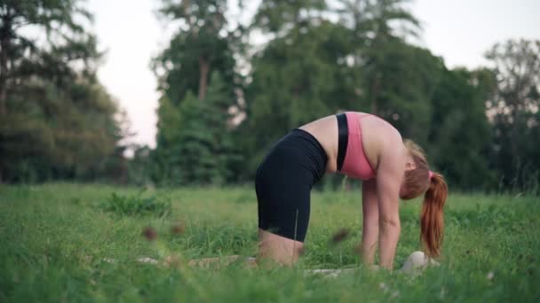 Жінки роблять йоги . — стокове відео