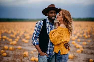 Balkabağı tarlasında duran genç bir çift çiftçi.