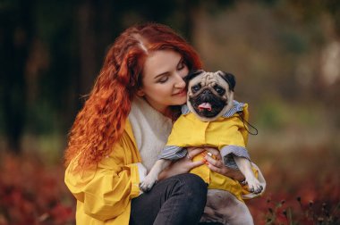 Bir pug ve sahibinin portresi. Genç, gülümseyen kızıl saçlı bir kadın sevgili hayvanını kollarında tutuyor. Bir köpek ve sahibi sonbahar parkında yağmurluklarla yürüyorlar..