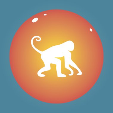 Maymun simgesi. maymun vektör