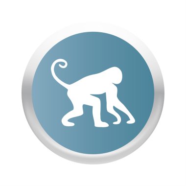 Maymun simgesi. maymun vektör