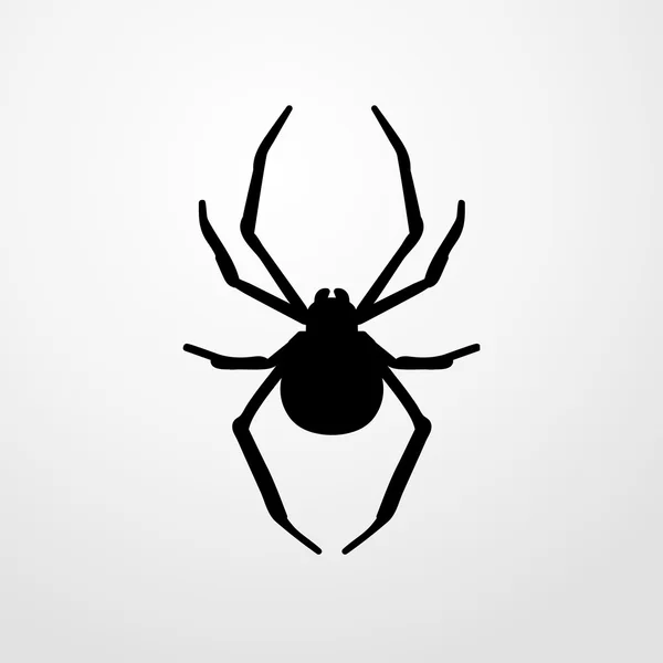 Ícone de aranha. sinal de aranha —  Vetores de Stock