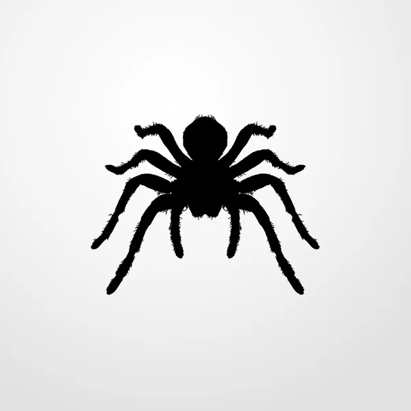 Tarantula pictogram. Tarantula teken — Stockvector