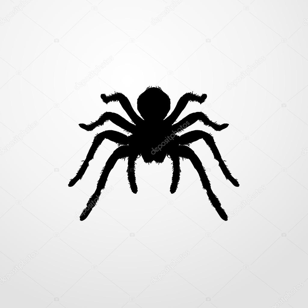 Tarantula icon. tarantula sign