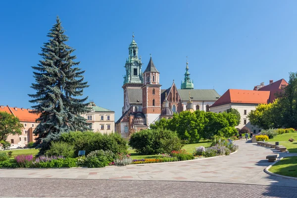 Cracow - Wawel kale Manzaralı — Stok fotoğraf