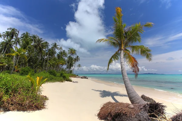 Bir görünümü güzel tatil kumlu plaj — Stok fotoğraf