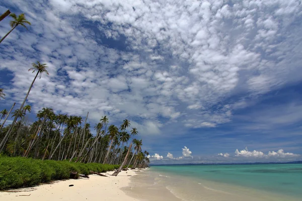 Utsikt över vackra holiday sandiga stranden — Stockfoto