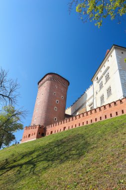 Bir görünümü Polonya Krakow Wawel Kalesi