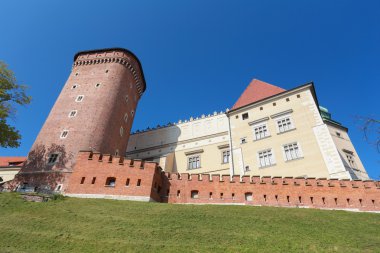 Bir görünümü Polonya Krakow Wawel Kalesi