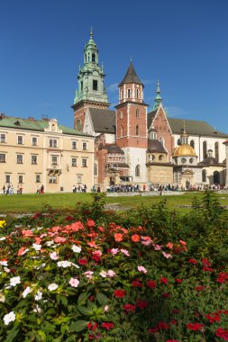 Polonya Cracow kale görünümü